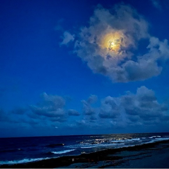 Meet your Posher, Devon - Picture 1 of 1